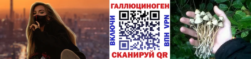 Галлюциногенные грибы мицелий магазин наркотиков Малмыж